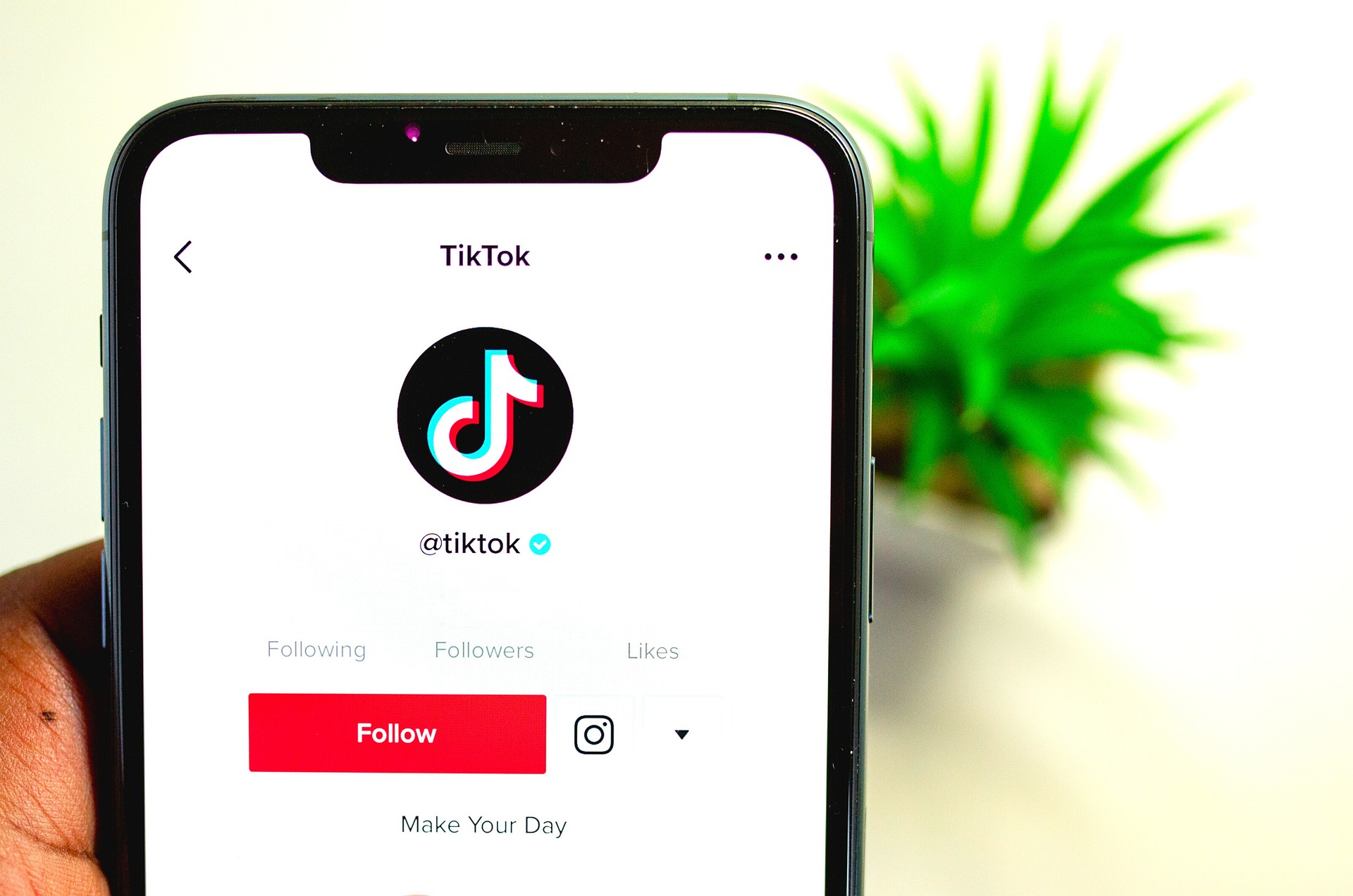 Best TikTok Bio Ideas to Make Your Profile Stand Out